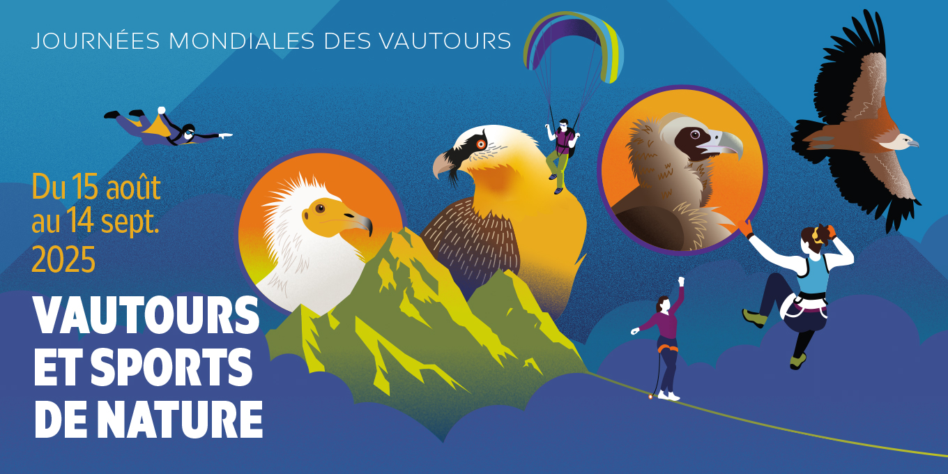 Du 15 août au 14 septembre, venez observer le ciel à l’occasion des Journées mondiales des vautours